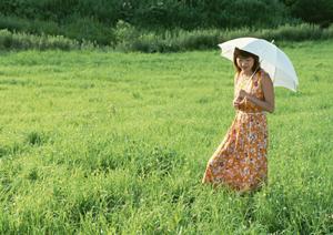 福岡での伐採対策を徹底解説！2025年最新ガイド