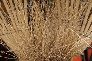 名古屋市内で高品質な音源マスタリングサービスを提供するスタジオを徹底解説