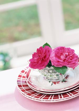 人気の家政婦サービスをご紹介します