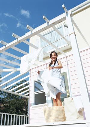 植物の生長を左右するのは根の生長