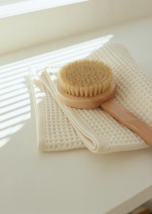 古代生物のぬいぐるみが手に入るサイト